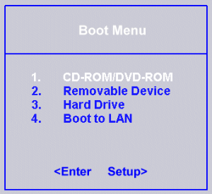 "Another boot device selection menu"
